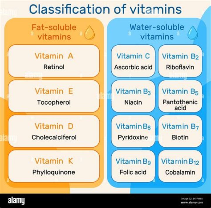 Are fat soluble vitamins stored in the body