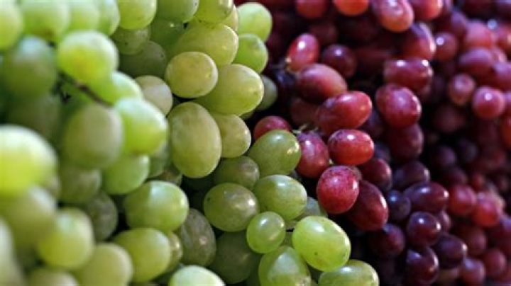 Are grapes getting bigger