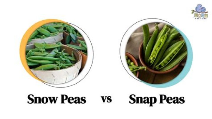 Are snow peas and snap peas the same thing