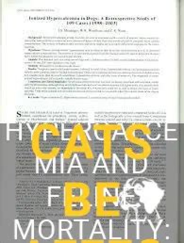Can cats die from hypercalcemia