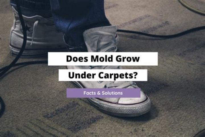Can mold grow on rubber mats