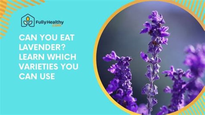 Can you eat lavender flowers
