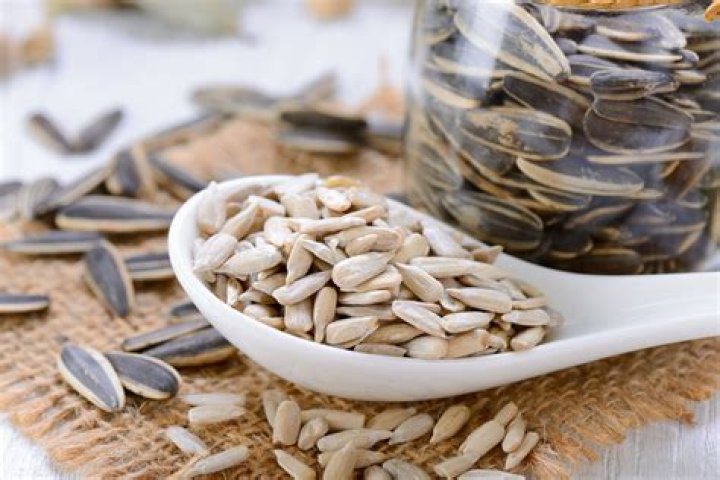 Can you eat unripe sunflower seeds
