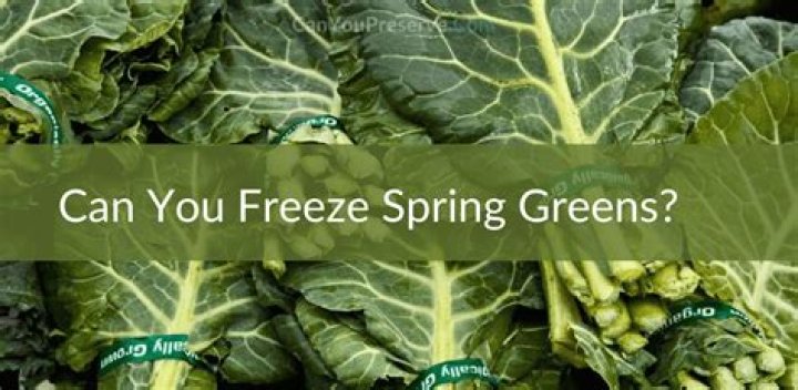 Can you freeze sauteed greens