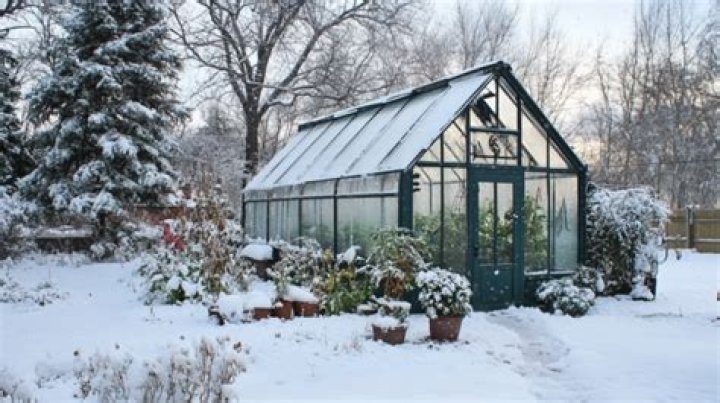 Can you grow things in a greenhouse in the winter