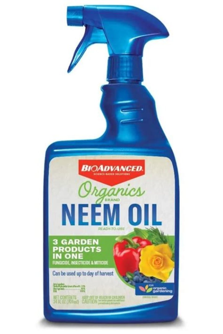 Can you spray for chiggers