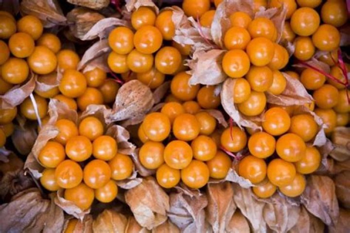 ¿Cuáles son las frutas exóticas