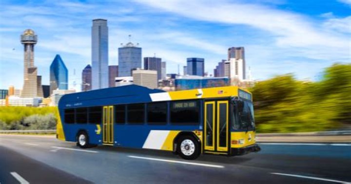 Do DART buses run on Sundays
