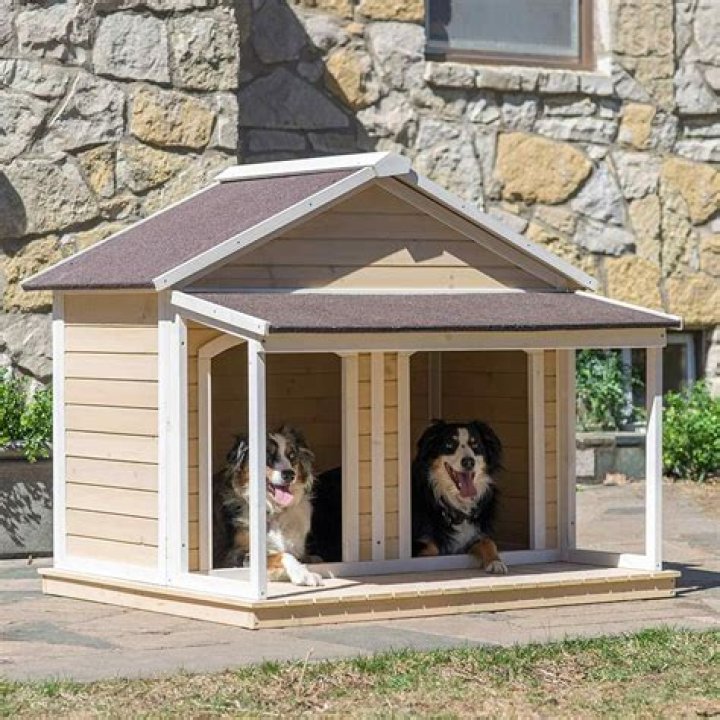 Do dogs like dog houses