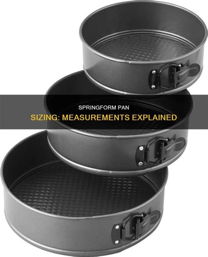 Do I really need a springform pan