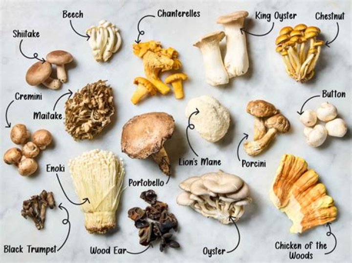 Do mushrooms go away on their own