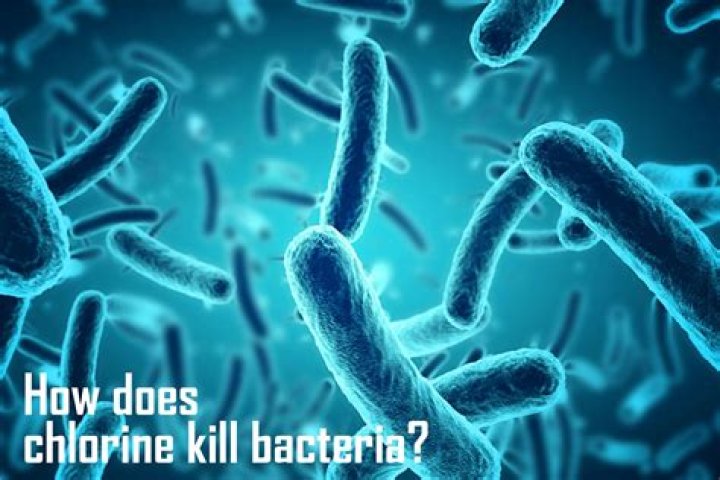 Does chlorine kill iron bacteria