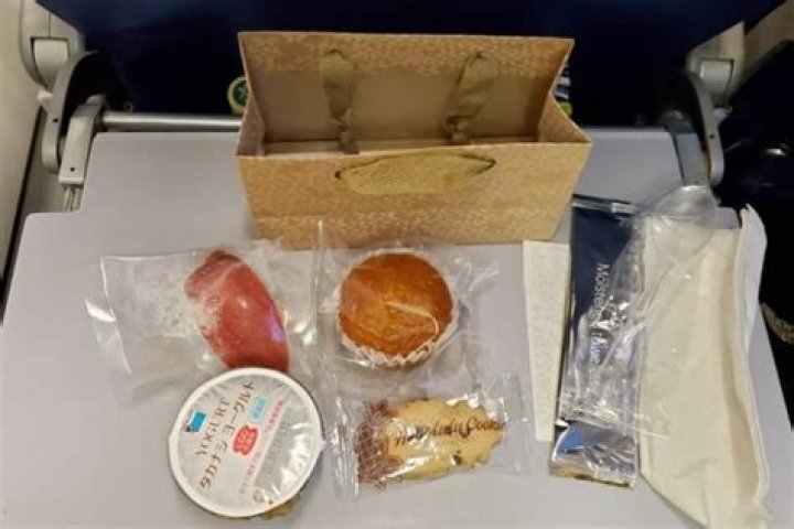 Does Hawaiian airlines serve free food