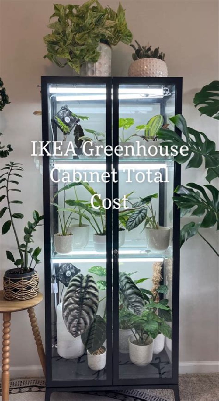 Does IKEA have house plants