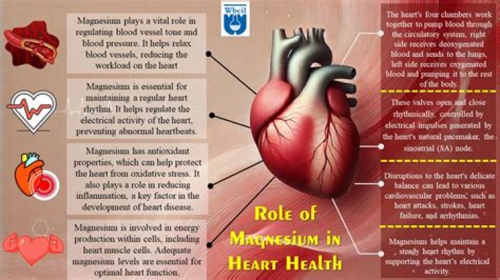 Does magnesium affect heart rhythm