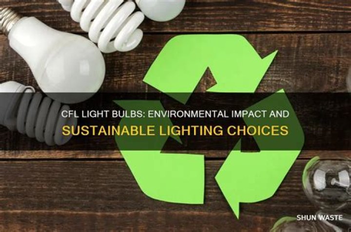 How do CFL light bulbs affect the environment