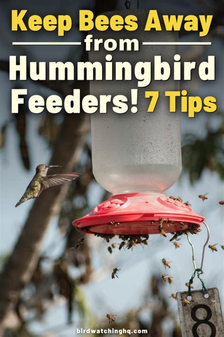 How do I keep bees away from my bird feeder