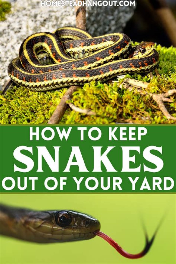 How do I keep snakes away from my pond