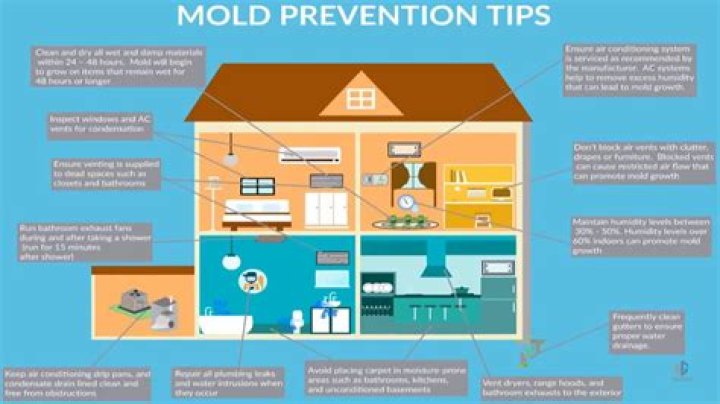 How do I prevent mold in my cold room