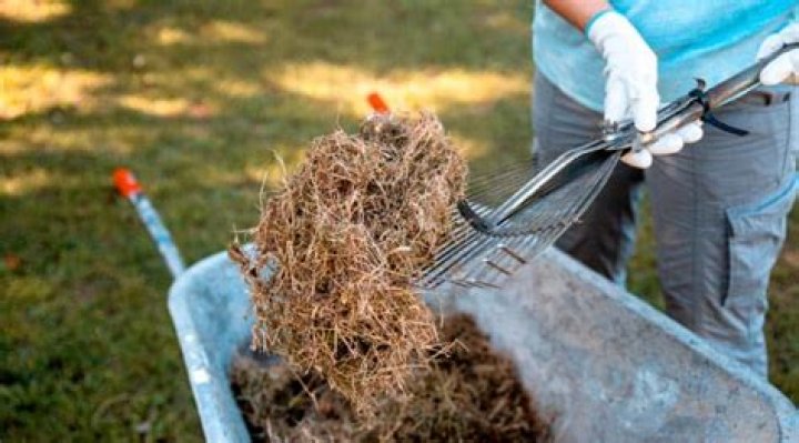 How do you dispose of old mulch