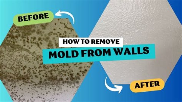 How do you get mold off Bluestone