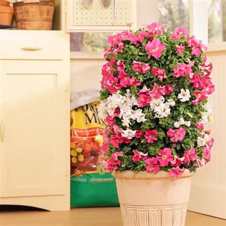 How do you make a flower tower