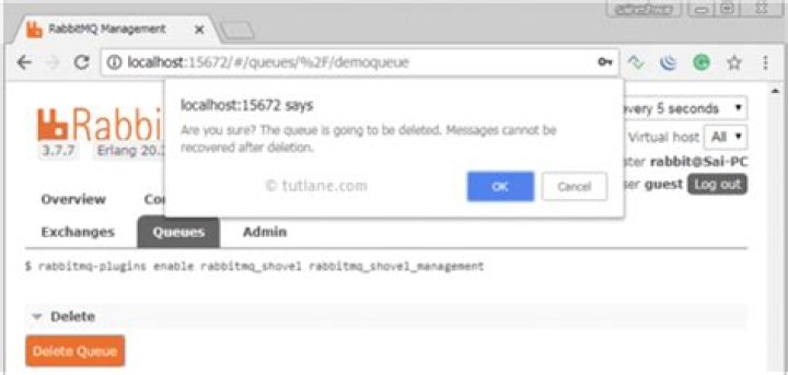 How do you purge messages in RabbitMQ