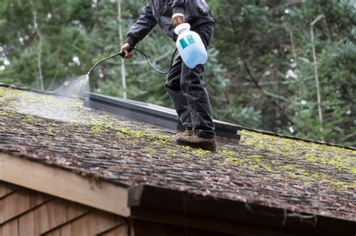 How do you remove moss from a roof