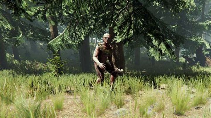 How do you stop cannibals in the forest