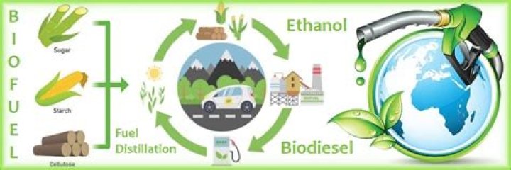 How do you use bio ethanol fuel