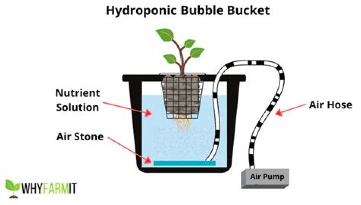 How does a bubble bucket work