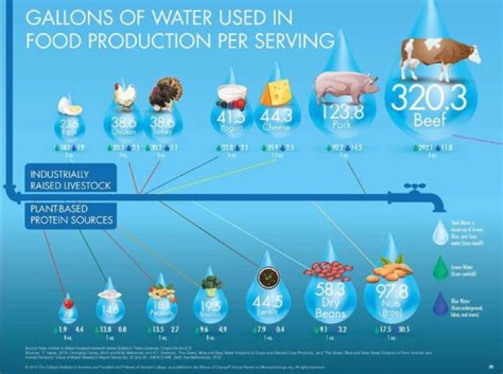 How is water used in food production