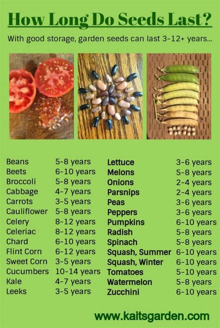 How long are seeds good for after sell by date