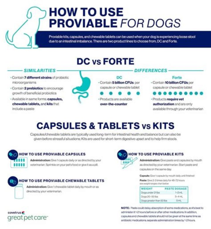 How long does it take for Proviable to work