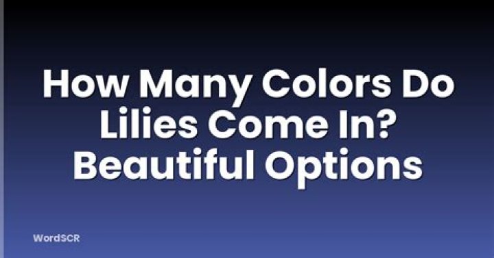 How many colors do lilies come in