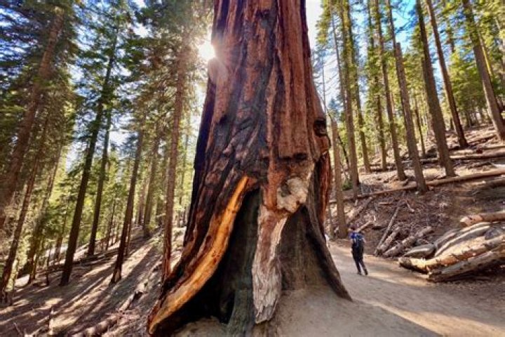 How many entrances does Sequoia National Park have