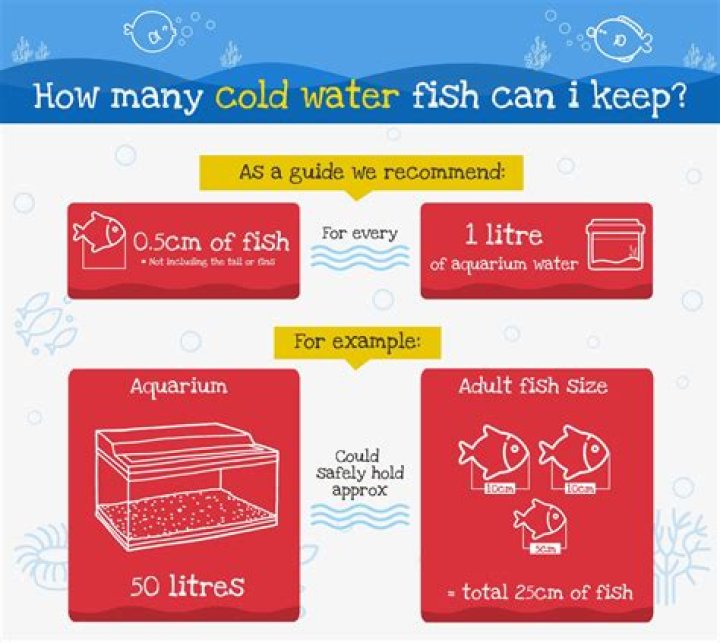 How many fish can I stock in my tank