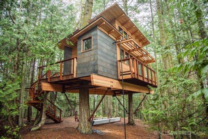 How many seasons of Treehouse masters are there