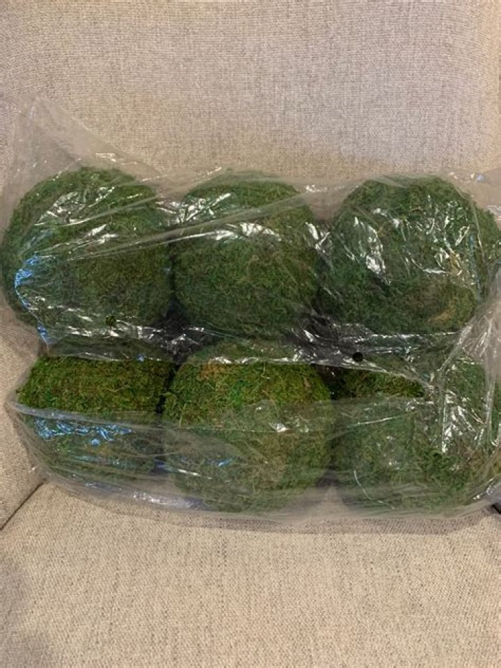 How much do moss balls cost