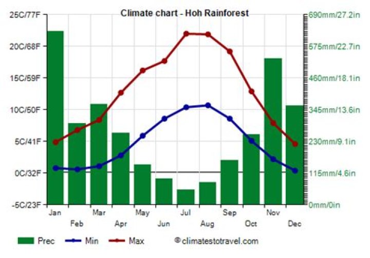 How much rain does the Hoh Rainforest get