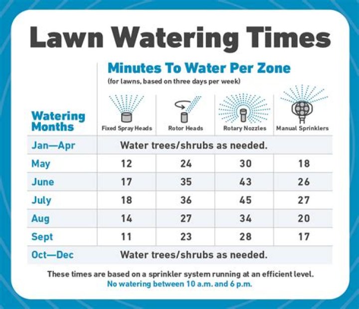 How often should you water your lawn in extreme heat