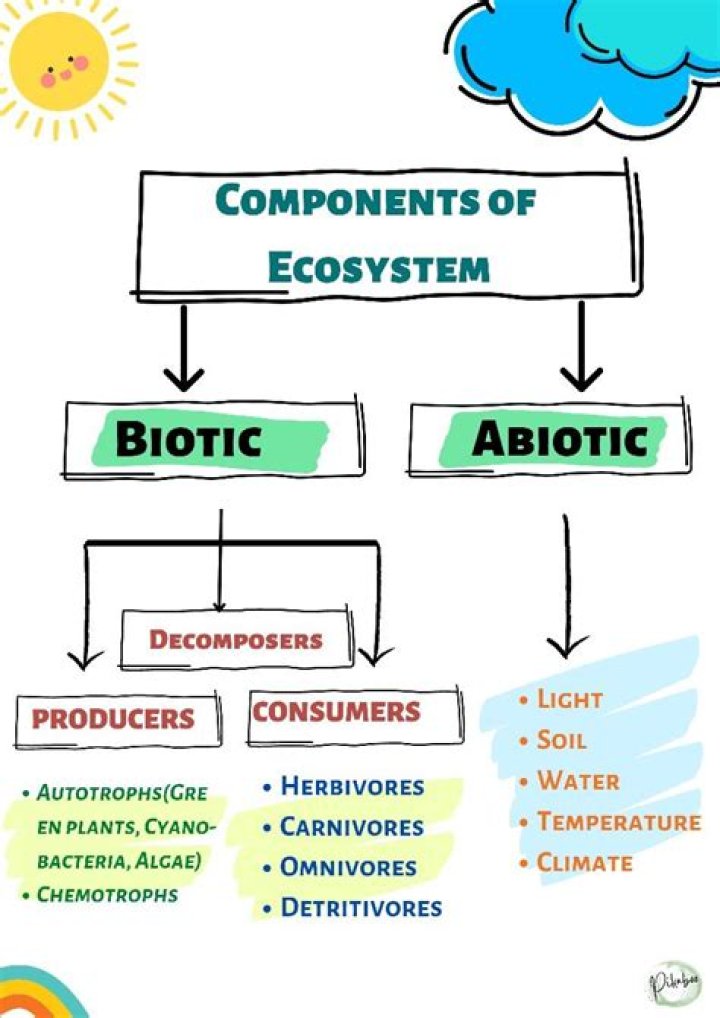Is a fern biotic or abiotic