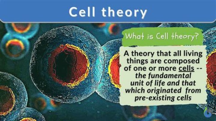 Is cell theory a theory