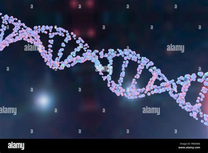 Is DNA double stranded