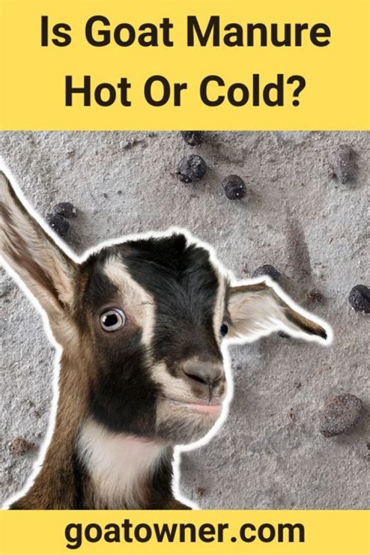 Is goat manure hot or cold