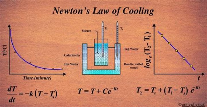 Is heat measured in Newtons