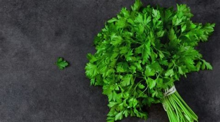 Is it good to eat cilantro