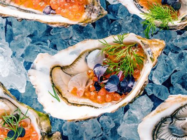 Is it safe to eat fried oysters