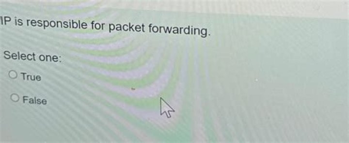 Is responsible for packet forwarding quizlet