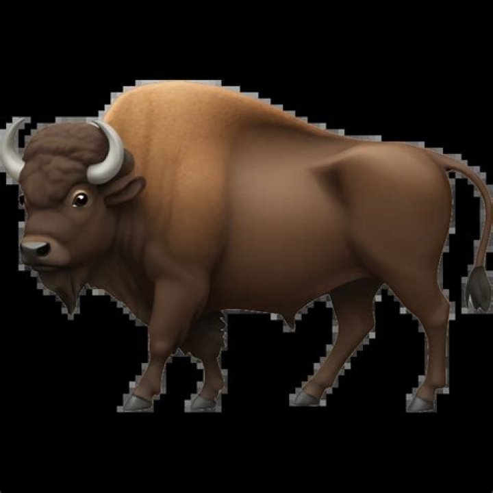 Is there a Buffalo Emoji